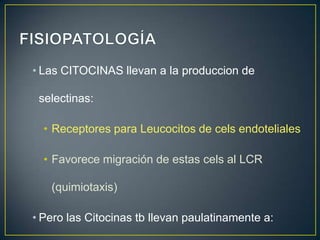 • Las CITOCINAS llevan a la produccion de
selectinas:

• Receptores para Leucocitos de cels endoteliales
• Favorece migración de estas cels al LCR

(quimiotaxis)
• Pero las Citocinas tb llevan paulatinamente a:

 