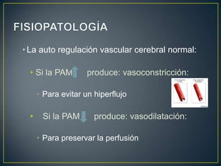 • La auto regulación vascular cerebral normal:
• Si la PAM

produce: vasoconstricción:

• Para evitar un hiperflujo

•

Si la PAM

produce: vasodilatación:

• Para preservar la perfusión

 