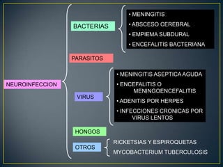 • MENINGITIS

BACTERIAS

• ABSCESO CEREBRAL
• EMPIEMA SUBDURAL
• ENCEFALITIS BACTERIANA

PARASITOS
• MENINGITIS ASEPTICA AGUDA
• ENCEFALITIS O .
.
MENINGOENCEFALITIS

NEUROINFECCION
VIRUS

• ADENITIS POR HERPES
• INFECCIONES CRONICAS POR
. . . . VIRUS LENTOS

HONGOS
RICKETSIAS Y ESPIROQUETAS
OTROS

MYCOBACTERIUM TUBERCULOSIS

 