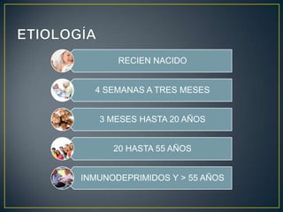 RECIEN NACIDO
4 SEMANAS A TRES MESES
3 MESES HASTA 20 AÑOS
20 HASTA 55 AÑOS

INMUNODEPRIMIDOS Y > 55 AÑOS

 
