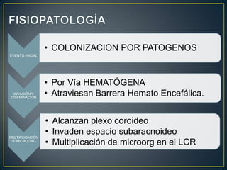 • COLONIZACION POR PATOGENOS
EVENTO INICIAL

INVACIÓN Y
DISEMINACIÓN

MULTIPLICACIÓN
DE MICROORG.

• Por Vía HEMATÓGENA
• Atraviesan Barrera Hemato Encefálica.
• Alcanzan plexo coroideo
• Invaden espacio subaracnoideo
• Multiplicación de microorg en el LCR

 