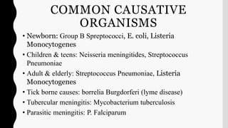 COMMON CAUSATIVE
ORGANISMS
• Newborn: Group B Spreptococci, E. coli, Listeria
Monocytogenes
• Children & teens: Neisseria meningitides, Streptococcus
Pneumoniae
• Adult & elderly: Streptococcus Pneumoniae, Listeria
Monocytogenes
• Tick borne causes: borrelia Burgdorferi (lyme disease)
• Tubercular meningitis: Mycobacterium tuberculosis
• Parasitic meningitis: P. Falciparum
 