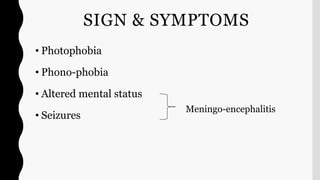 SIGN & SYMPTOMS
• Photophobia
• Phono-phobia
• Altered mental status
• Seizures
Meningo-encephalitis
 
