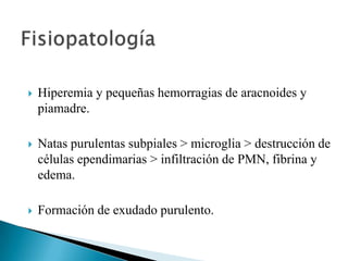 

Hiperemia y pequeñas hemorragias de aracnoides y
piamadre.



Natas purulentas subpiales > microglia > destrucción de
células ependimarias > infiltración de PMN, fibrina y
edema.



Formación de exudado purulento.

 