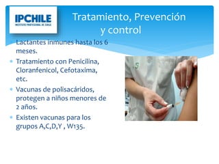  Lactantes inmunes hasta los 6
meses.
 Tratamiento con Penicilina,
Cloranfenicol, Cefotaxima,
etc.
 Vacunas de polisacáridos,
protegen a niños menores de
2 años.
 Existen vacunas para los
grupos A,C,D,Y , W135.
Tratamiento, Prevención
y control
 
