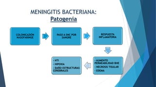 MENINGITIS BACTERIANA:
Patogenia
COLONICAZIÓN
NASOFARINGE
PASO A SNC POR
SANGRE
RESPUESTA
INFLAMATORIA
- AUMENTO
PERMEABILIDAD BHE
- NECROSIS TISULAR
- EDEMA
- HTI
- HIPOXIA
- DAÑO ESTRUCTURAS
CEREBRALES
 
