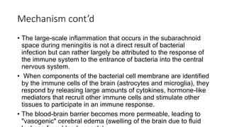 Mechanism cont’d
• The large-scale inflammation that occurs in the subarachnoid
space during meningitis is not a direct result of bacterial
infection but can rather largely be attributed to the response of
the immune system to the entrance of bacteria into the central
nervous system.
• When components of the bacterial cell membrane are identified
by the immune cells of the brain (astrocytes and microglia), they
respond by releasing large amounts of cytokines, hormone-like
mediators that recruit other immune cells and stimulate other
tissues to participate in an immune response.
• The blood-brain barrier becomes more permeable, leading to
"vasogenic" cerebral edema (swelling of the brain due to fluid
 