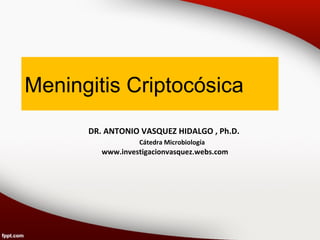 Meningitis Criptocósica
DR. ANTONIO VASQUEZ HIDALGO , Ph.D.
Cátedra Microbiología
www.investigacionvasquez.webs.com
 