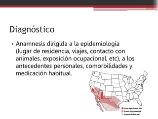 Diagnóstico
• Anamnesis dirigida a la epidemiología
(lugar de residencia, viajes, contacto con
animales, exposición ocupacional, etc), a los
antecedentes personales, comorbilidades y
medicación habitual.
 