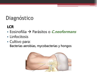 Diagnóstico
LCR
• Eosinofilia  Parásitos o C.neoformans
• Linfocitosis
• Cultivo para:
Bacterias aerobias, mycobacterias y hongos
 
