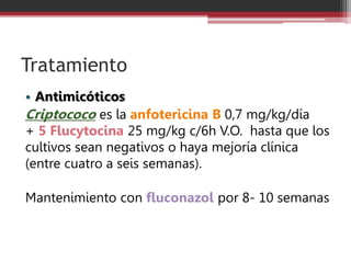 Tratamiento
• Antimicóticos
Criptococo es la anfotericina B 0,7 mg/kg/día
+ 5 Flucytocina 25 mg/kg c/6h V.O. hasta que los
cultivos sean negativos o haya mejoría clínica
(entre cuatro a seis semanas).
Mantenimiento con fluconazol por 8- 10 semanas
 