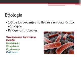 Etiología
• 1/3 de los pacientes no llegan a un diagnóstico
etiológico
• Patógenos probables:
Mycobacterium tuberculosis
Brucella
Coccidioides
Histoplasma
Cryptoccocus
Cisticercos
 