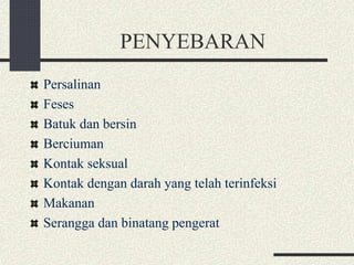 PENYEBARAN
Persalinan
Feses
Batuk dan bersin
Berciuman
Kontak seksual
Kontak dengan darah yang telah terinfeksi
Makanan
Serangga dan binatang pengerat
 