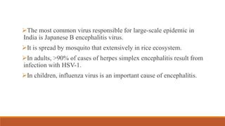 The most common virus responsible for large-scale epidemic in
India is Japanese B encephalitis virus.
It is spread by mosquito that extensively in rice ecosystem.
In adults, >90% of cases of herpes simplex encephalitis result from
infection with HSV-1.
In children, influenza virus is an important cause of encephalitis.
 