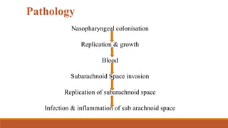 Nasopharyngeal colonisation
Replication & growth
Blood
Subarachnoid Space invasion
Replication of subarachnoid space
Infection & inflammation of sub arachnoid space
Pathology
 