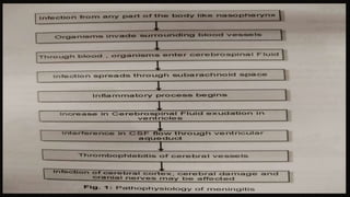 Meningitis, encephalitis, seizure disorder, epilepsy