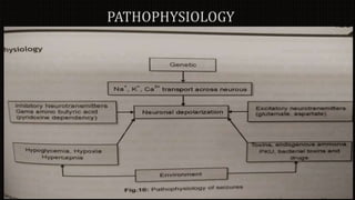 Meningitis, encephalitis, seizure disorder, epilepsy