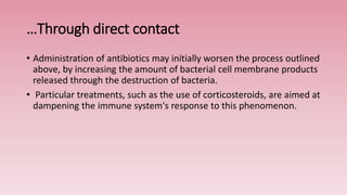 …Through direct contact
• Administration of antibiotics may initially worsen the process outlined
above, by increasing the amount of bacterial cell membrane products
released through the destruction of bacteria.
• Particular treatments, such as the use of corticosteroids, are aimed at
dampening the immune system's response to this phenomenon.
 