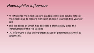 Haemophilus influenzae
• H. influenzae meningitis is rare in adolescents and adults, rates of
meningitis due to Hib are highest in children less than five years of
age
• The incidence of which has decreased dramatically since the
introduction of the Hib vaccine
• H. influenzae is also an important cause of pneumonia as well as
epiglottitis.
 