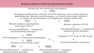 Management algorithm for adults with suspected bacterial meningitis
 