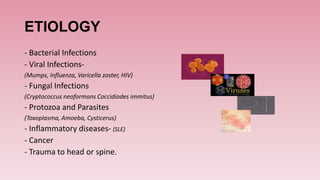 ETIOLOGY
- Bacterial Infections
- Viral Infections-
(Mumps, Influenza, Varicella zoster, HIV)
- Fungal Infections
(Cryptococcus neoformans Coccidiodes immitus)
- Protozoa and Parasites
(Toxoplasma, Amoeba, Cysticerus)
- Inflammatory diseases- (SLE)
- Cancer
- Trauma to head or spine.
 