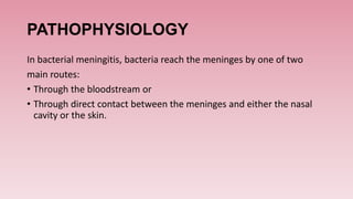 PATHOPHYSIOLOGY
In bacterial meningitis, bacteria reach the meninges by one of two
main routes:
• Through the bloodstream or
• Through direct contact between the meninges and either the nasal
cavity or the skin.
 