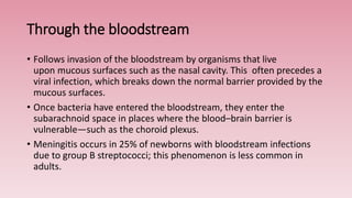 Through the bloodstream
• Follows invasion of the bloodstream by organisms that live
upon mucous surfaces such as the nasal cavity. This often precedes a
viral infection, which breaks down the normal barrier provided by the
mucous surfaces.
• Once bacteria have entered the bloodstream, they enter the
subarachnoid space in places where the blood–brain barrier is
vulnerable—such as the choroid plexus.
• Meningitis occurs in 25% of newborns with bloodstream infections
due to group B streptococci; this phenomenon is less common in
adults.
 
