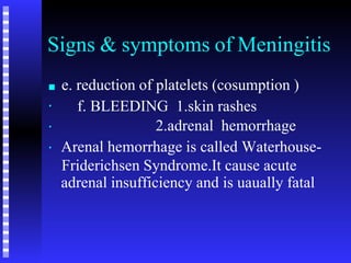 meningitis FINAL 2.pptx