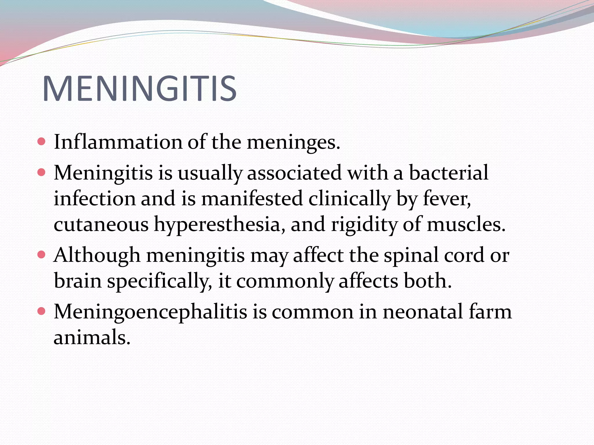 Meningitis In Animals PPTX meningitis-in-animals-pptx