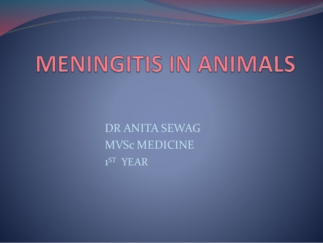 DR ANITA SEWAG
MVSc MEDICINE
1ST YEAR
 