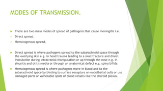 MODES OF TRANSMISSION.
 There are two main modes of spread of pathogens that cause meningitis i.e.
 Direct spread.
 Hematogenous spread.
 Direct spread is where pathogens spread to the subarachnoid space through
the overlying skin e.g. in head trauma leading to a skull fracture and direct
inoculation during intracranial manipulation or up through the nose e.g. in
sinusitis and otitis media or through an anatomical defect e.g. spina bifida.
 Hematogenous spread is where pathogens move in blood and to the
subarachnoid space by binding to surface receptors on endothelial cells or use
damaged parts or vulnerable spots of blood vessels like the choroid plexus.
 