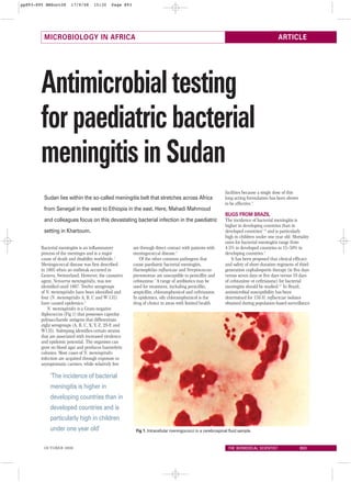 pp893-895 BMSoct08      17/9/08     15:30    Page 893




         MICROBIOLOGY IN AFRICA                                                                                                          ARTICLE




        Antimicrobial testing
        for paediatric bacterial
        meningitis in Sudan
                                                                                                            facilities because a single dose of this
         Sudan lies within the so-called meningitis belt that stretches across Africa                       long-acting formulation has been shown
                                                                                                            to be effective.4
         from Senegal in the west to Ethiopia in the east. Here, Mahadi Mahmoud
                                                                                                            BUGS FROM BRAZIL
         and colleagues focus on this devastating bacterial infection in the paediatric                     The incidence of bacterial meningitis is
                                                                                                            higher in developing countries than in
         setting in Khartoum.                                                                               developed countries1–10 and is particularly
                                                                                                            high in children under one year old. Mortality
                                                                                                            rates for bacterial meningitis range from
        Bacterial meningitis is an inflammatory         are through direct contact with patients with       4.5% in developed countries to 15–50% in
        process of the meninges and is a major          meningococcal disease.3                             developing countries.5
        cause of death and disability worldwide.1          Of the other common pathogens that                   It has been proposed that clinical efficacy
        Meningococcal disease was first described       cause paediatric bacterial meningitis,              and safety of short-duration regimens of third-
        in 1805 when an outbreak occurred in            Haemophilus influenzae and Streptococcus            generation cephalosporin therapy (ie five days
        Geneva, Switzerland. However, the causative     pneumoniae are susceptible to penicillin and        versus seven days or five days versus 10 days
        agent, Neisseria meningitidis, was not          cefotaxime.1 A range of antibiotics may be          of cefotaxime or ceftriaxone) for bacterial
        identified until 1887. Twelve serogroups        used for treatment, including penicillin,           meningitis should be studied.6,7 In Brazil,
        of N. meningitidis have been identified and     ampicillin, chloramphenicol and ceftriaxone.        antimicrobial susceptibility has been
        four (N. meningitidis A, B, C and W 135)        In epidemics, oily chloramphenicol is the           determined for 150 H. influenzae isolates
        have caused epidemics.2                         drug of choice in areas with limited health         obtained during population-based surveillance
            N. meningitidis is a Gram-negative
        diplococcus (Fig 1) that possesses capsular
        polysaccharide antigens that differentiate
        eight serogroups (A, B, C, X, Y, Z, 29-E and
        W135). Subtyping identifies certain strains
        that are associated with increased virulence
        and epidemic potential. The organism can
        grow on blood agar and produces haemolytic
        colonies. Most cases of N. meningitidis
        infection are acquired through exposure to
        asymptomatic carriers, while relatively few

            ‘The incidence of bacterial
            meningitis is higher in
            developing countries than in
            developed countries and is
            particularly high in children
            under one year old’                          Fig 1. Intracellular meningococci in a cerebrospinal fluid sample.


         OCTOBER 2008                                                                                        THE BIOMEDICAL SCIENTIST                  893
 