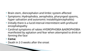 Comprehensive Overview of Meningitis and Encephalitis: Causes, Symptoms ...