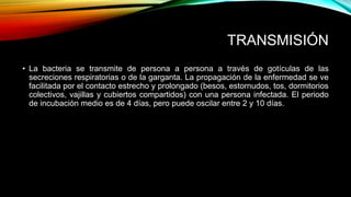 TRANSMISIÓN 
• La bacteria se transmite de persona a persona a través de gotículas de las 
secreciones respiratorias o de la garganta. La propagación de la enfermedad se ve 
facilitada por el contacto estrecho y prolongado (besos, estornudos, tos, dormitorios 
colectivos, vajillas y cubiertos compartidos) con una persona infectada. El periodo 
de incubación medio es de 4 días, pero puede oscilar entre 2 y 10 días. 
 