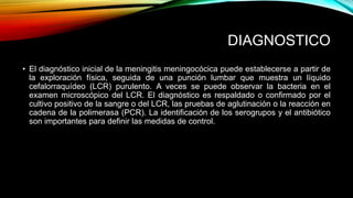 DIAGNOSTICO 
• El diagnóstico inicial de la meningitis meningocócica puede establecerse a partir de 
la exploración física, seguida de una punción lumbar que muestra un líquido 
cefalorraquídeo (LCR) purulento. A veces se puede observar la bacteria en el 
examen microscópico del LCR. El diagnóstico es respaldado o confirmado por el 
cultivo positivo de la sangre o del LCR, las pruebas de aglutinación o la reacción en 
cadena de la polimerasa (PCR). La identificación de los serogrupos y el antibiótico 
son importantes para definir las medidas de control. 
 