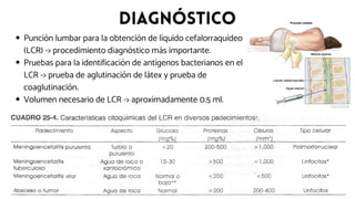 Meningitis Meningoencefalitis aguada y cronica | PDF