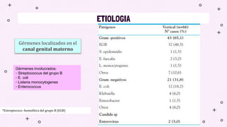 ETIOLOGIA
Gérmenes localizados en el
canal genital materno
*Estreptococo -hemolítico del grupo B (EGB)
Gérmenes involucrados:
◦ Streptococcus del grupo B
◦ E. coli
◦ Listeria monocytogenes
◦ Enterococcus
 