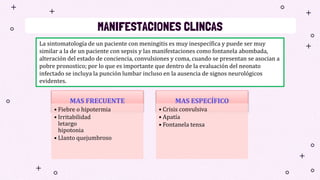 MANIFESTACIONES CLINCAS
MAS FRECUENTE
• Fiebre o hipotermia
• Irritabilidad
letargo
hipotonia
• Llanto quejumbroso
MAS ESPECÍFICO
• Crisis convulsiva
• Apatía
• Fontanela tensa
La sintomatología de un paciente con meningitis es muy inespecífica y puede ser muy
similar a la de un paciente con sepsis y las manifestaciones como fontanela abombada,
alteración del estado de conciencia, convulsiones y coma, cuando se presentan se asocian a
pobre pronostico; por lo que es importante que dentro de la evaluación del neonato
infectado se incluya la punción lumbar incluso en la ausencia de signos neurológicos
evidentes.
 