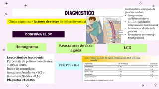 DIAGNOSTICO
Clínica sugestiva + factores de riesgo de infección vertical.
Hemograma Reactantes de fase
aguda
LCR
Leucocitosis o leucopenia
Porcentaje de polimorfonucleares:
< 20% ó >80%
Índice de neutrófilos
inmaduros/maduros > 0,2 o
inmaduros/totales >0,16
Plaquetas <100.000
PCR, PCL e IL-6
CONFIRMA EL DX
Contraindicaciones para la
punción lumbar:
• Compromiso
cardiorespiratorio
• C. I. D. (coagulación
intravascular diseminada)
• Lesiones en el sitio de la
punción
• Prematuros extremos (<
1000 gramos).
 