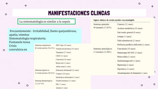 MANIFESTACIONES CLINCAS
La sintomatología es similar a la sepsis
frecuentemente : Irritabilidad, llanto quejumbroso,
apatía, vómitos
Sintomatología respiratoria.
Fontanela tensa
Crisis
convulsiva en
 