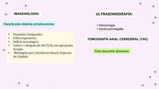 IMAGENOLOGÍA:
Hacerla para detecta complicaciones
• Pacientes choqueados
• Falla respiratoria
• Déficit neurologico
• Cultivo + después de 48-72 Hs con apropiada
terapia
• Meningitis por: Citrobacter Koseri, Especies
de Cándida
ULTRASONOGRAFÍA:
• Hemorragia
• Ventriculomegalia
TOMOGRAFÍA AXIAL CEBREBRAL (TAC)
Para descartar abscesos
 