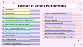 FACTORES DE RIESGO Y PREDISPOSICIÓN
Corioamnionitis
Infección urinaria
Infección vaginal
Infección /colonización streptococcus B-hemolítico
Ruptura prematura de membranas ovulares
Fiebre o infección periparto materna
Distres fetal o hipoxia
Trauma obstétrico
Parto instrumentado
Taquicardia fetal inexplicable
Defecto anatómico macroscópico
Prematurez
Género masculino
Uso de Catéteres centrales
Intubación endotraqueal
Requerimiento de Exanguinotransfusión
Esquema antibiótico repetido
Mayor tiempo para alcanzar peso al nacer
 