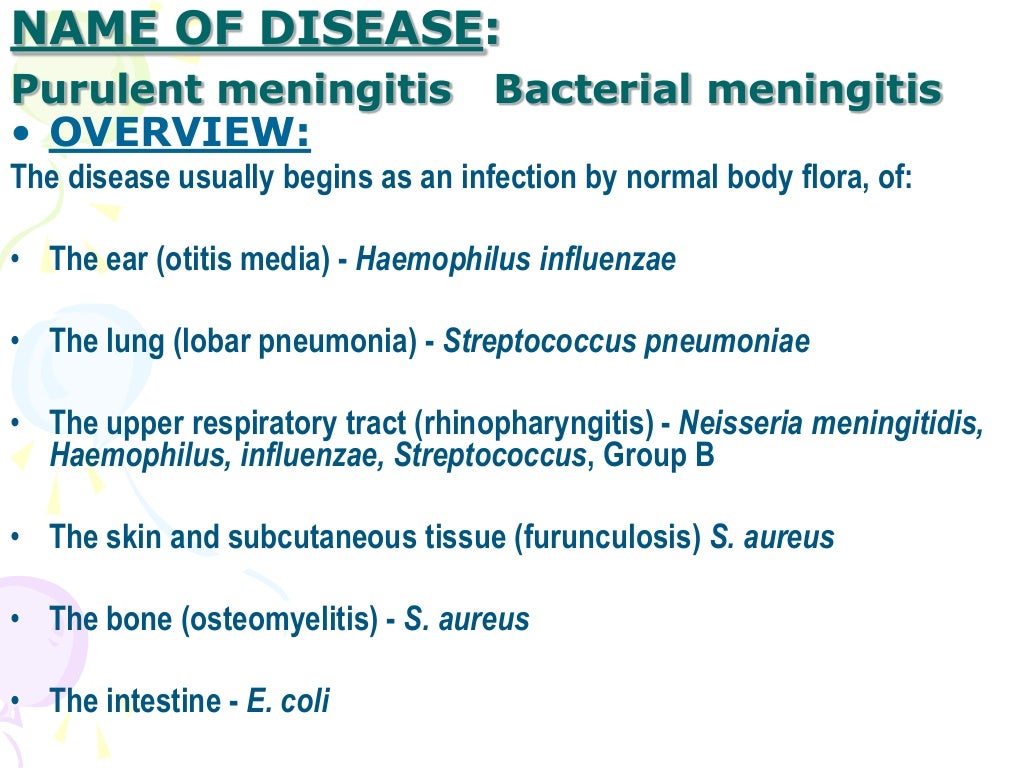 Meningitis ppt Meningitis ppt