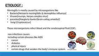 ETIOLOGY :
Meningitis is mostly caused by microorganisms like
• Bacteria[Neisseria meningitidis & Hemophilus influenza]
• Viruses[mumps, herpes simplex virus]
• parasites[Naegleria fowleri(brain eating amoeba)]
• fungi [Cryptococcus]
These microorganisms infect blood and the cerebrospinal fluid (CSF).
non-infectious causes:
including certain diseases like AIDS
• cancer
• diabetes
• physical injury
• certain drugs that weaken the body's immune system.
 
