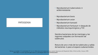 PATOGENIA
• Mycobacterium tuberculosis 🡪
acidorresistente
• Mycobacterium bovis
• Mycobacterium avian
• Mycobacterium kansasii
• Mycobacterium fortiutum después de
🡪
métodos neuroquirúrgicos y TCE
Siembra bacteriana de las meninges y las
regiones subpiales con formación de
tubérculos
Rotura de uno o más de los tubérculos y salida
de bacterias paso al espacio subaracnoideo
🡪
Krivoy, A., Lozada, V. E., & Arrieche, W. J. (s. f.). Tuberculosis del sistema nervioso central: Experiencia del Hospital de Niños J M de Los Ríos. Caracas 1990-
“ ”
2008. https://ve.scielo.org/scielo.php?script=sci_arttext&pid=S0367-47622009000200008
 