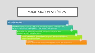 MANIFESTACIONES CLÍNICAS
Todas las edades
Manifestaciones iniciales febrícula, malestar general, cefalea (>50%),
🡪
letargo, confusión y cuello rígido (75%) signos de brudzinski
Evolución con menor rapidez en la tuberculosa que en otras
meningitis 1-2 semanas o más
🡪
Niños pequeños y lactantes apatía, hiperirritabilidad,
🡪
vómito y convulsiones
Cronicidad:
•Signos de afectación de los nervios craneales parálisis oculares, de la cara o hipoacusia
🡪
•Papiledema
 