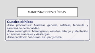 MANIFESTACIONES CLÍNICAS
 