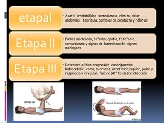 • Apatía, irritabilidad, somnolencia, vómito, dolor
abdominal, febrícula, cambios de conducta y hábitosetapaI
• Fiebre moderada, cefalea, apatía, fotofobia,
convulsiones y signos de lateralización, signos
meníngeos
Etapa II
• Deterioro clínico progresivo, cuadriparesia ,
hidrocefalia, coma, midriasis, arreflexia pupilar, pulso y
respiración irregular, fiebre (41º C) descerebración
Etapa III
 