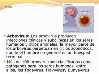 Meningitis viral 5-3