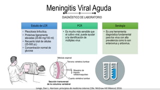 Meningitis y Encefalitis | PPTX